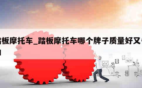 踏板摩托车_踏板摩托车哪个牌子质量好又省油 第3张