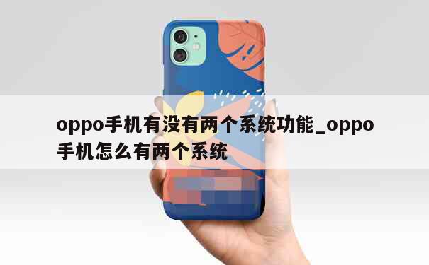 oppo手机有没有两个系统功能_oppo手机怎么有两个系统 第1张