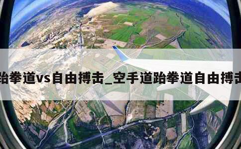 跆拳道vs自由搏击_空手道跆拳道自由搏击 第1张