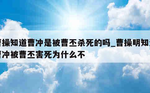 曹操知道曹冲是被曹丕杀死的吗_曹操明知道曹冲被曹丕害死为什么不 第1张