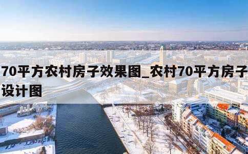 70平方农村房子效果图_农村70平方房子设计图 第1张