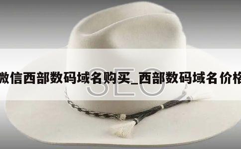 微信西部数码域名购买_西部数码域名价格 第1张