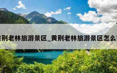 黄荆老林旅游景区_黄荆老林旅游景区怎么玩 第1张