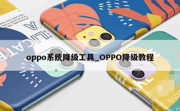 oppo系统降级工具_OPPO降级教程 第1张