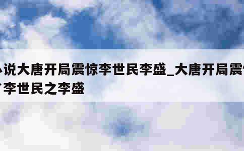 小说大唐开局震惊李世民李盛_大唐开局震惊了李世民之李盛 第1张