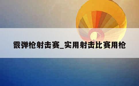 霰弹枪射击赛_实用射击比赛用枪 第1张