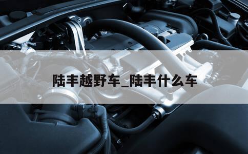 陆丰越野车_陆丰什么车 第1张