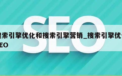 搜索引擎优化和搜索引擎营销_搜索引擎优化SEO 第1张