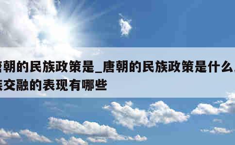 唐朝的民族政策是_唐朝的民族政策是什么民族交融的表现有哪些 第1张