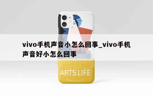 vivo手机声音小怎么回事_vivo手机声音好小怎么回事 第1张