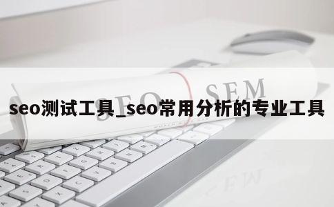 seo测试工具_seo常用分析的专业工具 第1张