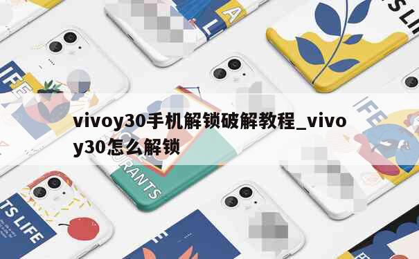 vivoy30手机解锁破解教程_vivoy30怎么解锁 第1张