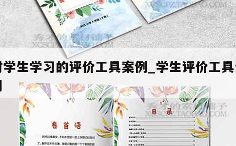 对学生学习的评价工具案例_学生评价工具说明 第1张