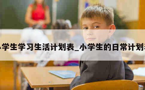 小学生学习生活计划表_小学生的日常计划表 第1张