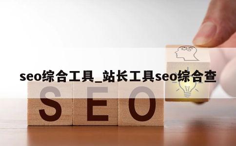 seo综合工具_站长工具seo综合查 第1张