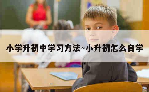 小学升初中学习方法~小升初怎么自学 第2张