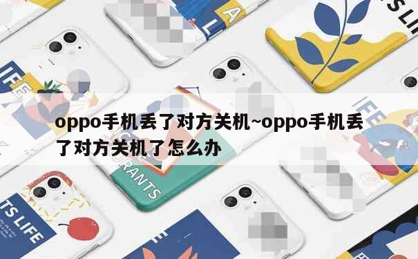 oppo手机丢了对方关机~oppo手机丢了对方关机了怎么办 第1张