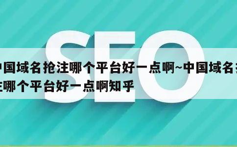 中国域名抢注哪个平台好一点啊~中国域名抢注哪个平台好一点啊知乎 第1张