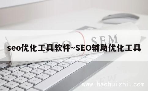 seo优化工具软件~SEO辅助优化工具 第1张