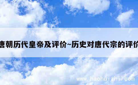 唐朝历代皇帝及评价~历史对唐代宗的评价 第1张