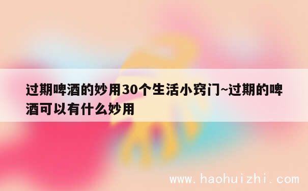 过期啤酒的妙用30个生活小窍门~过期的啤酒可以有什么妙用 第1张