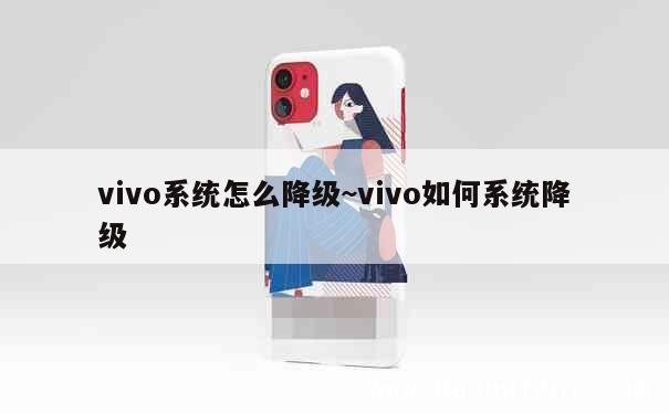 vivo系统怎么降级~vivo如何系统降级 第1张