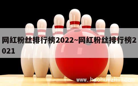 网红粉丝排行榜2022~网红粉丝排行榜2021 第1张