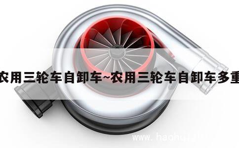 农用三轮车自卸车~农用三轮车自卸车多重 第1张