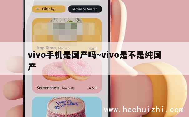 vivo手机是国产吗~vivo是不是纯国产 第1张