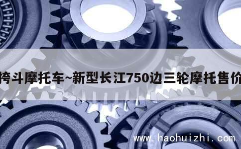 挎斗摩托车~新型长江750边三轮摩托售价 第1张