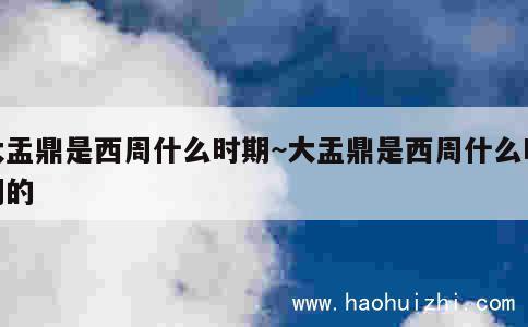 大盂鼎是西周什么时期~大盂鼎是西周什么时期的 第1张