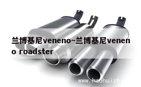 兰博基尼veneno~兰博基尼veneno roadster 第1张