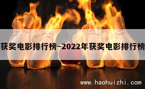 获奖电影排行榜~2022年获奖电影排行榜 第1张