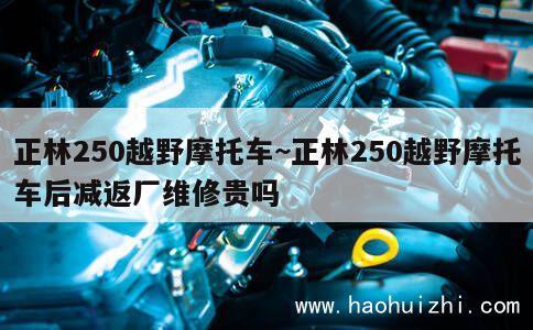 正林250越野摩托车~正林250越野摩托车后减返厂维修贵吗 第1张