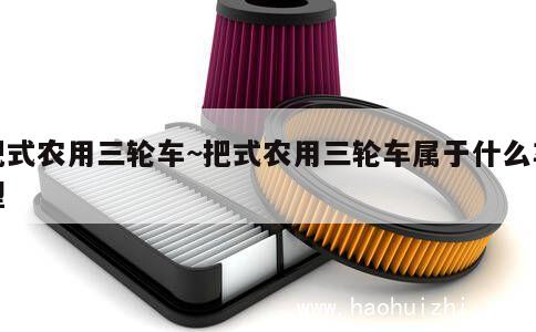 把式农用三轮车~把式农用三轮车属于什么车型 第1张