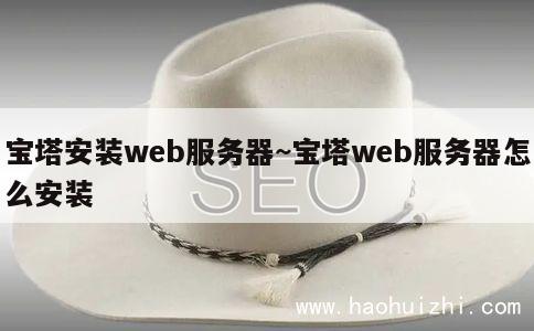 宝塔安装web服务器~宝塔web服务器怎么安装 第1张