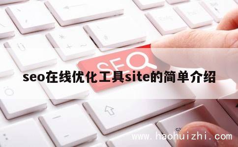 seo在线优化工具site的简单介绍 第1张