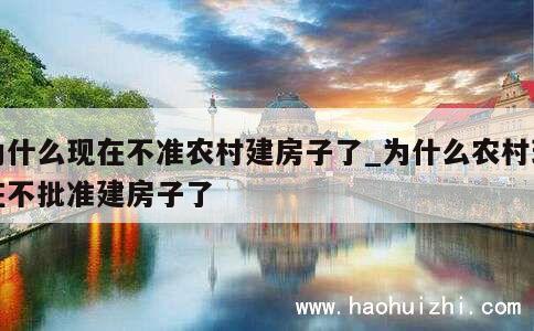 为什么现在不准农村建房子了_为什么农村现在不批准建房子了 第1张