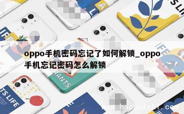 oppo手机密码忘记了如何解锁_oppo手机忘记密码怎么解锁 第1张