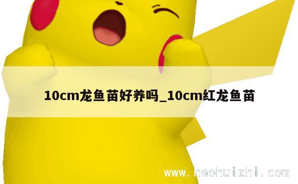 10cm龙鱼苗好养吗_10cm红龙鱼苗 第1张