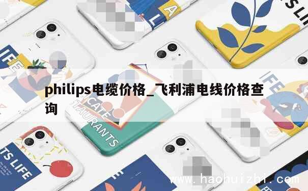 philips电缆价格_飞利浦电线价格查询 第1张