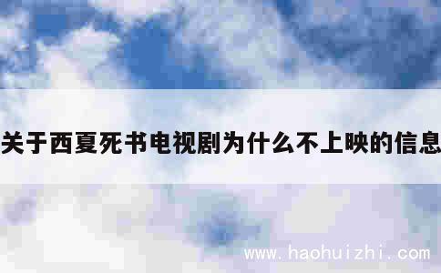 关于西夏死书电视剧为什么不上映的信息 第1张