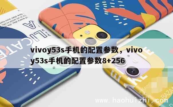 vivoy53s手机的配置参数，vivoy53s手机的配置参数8+256 第1张