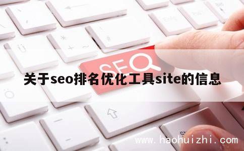 关于seo排名优化工具site的信息 第1张