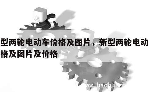 新型两轮电动车价格及图片，新型两轮电动车价格及图片及价格 第1张