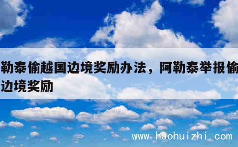 阿勒泰偷越国边境奖励办法，阿勒泰举报偷越国边境奖励 第1张