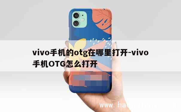 vivo手机的otg在哪里打开-vivo手机OTG怎么打开 第1张