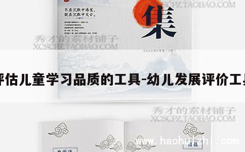 评估儿童学习品质的工具-幼儿发展评价工具 第1张