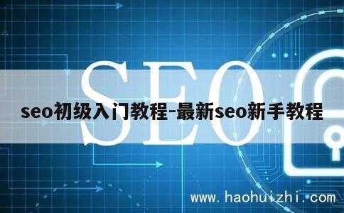 seo初级入门教程-最新seo新手教程 第1张