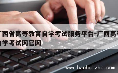 广西省高等教育自学考试服务平台-广西高等自学考试网官网 第1张